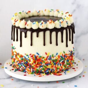 cake_with_Sprinkle Sprinkle Cake